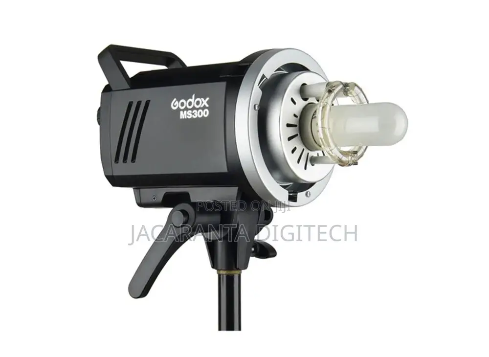 Godox MS300 Studio Light Kit