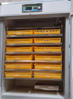 300 Eggs Automatic Incubator