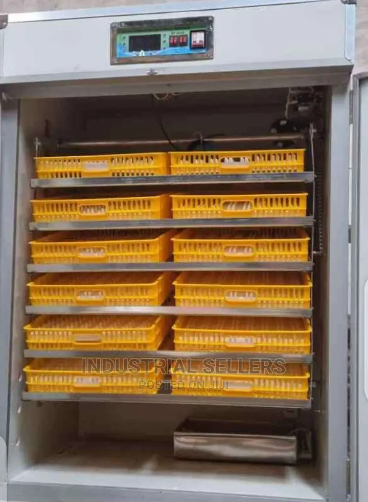 300 Eggs Automatic Incubator