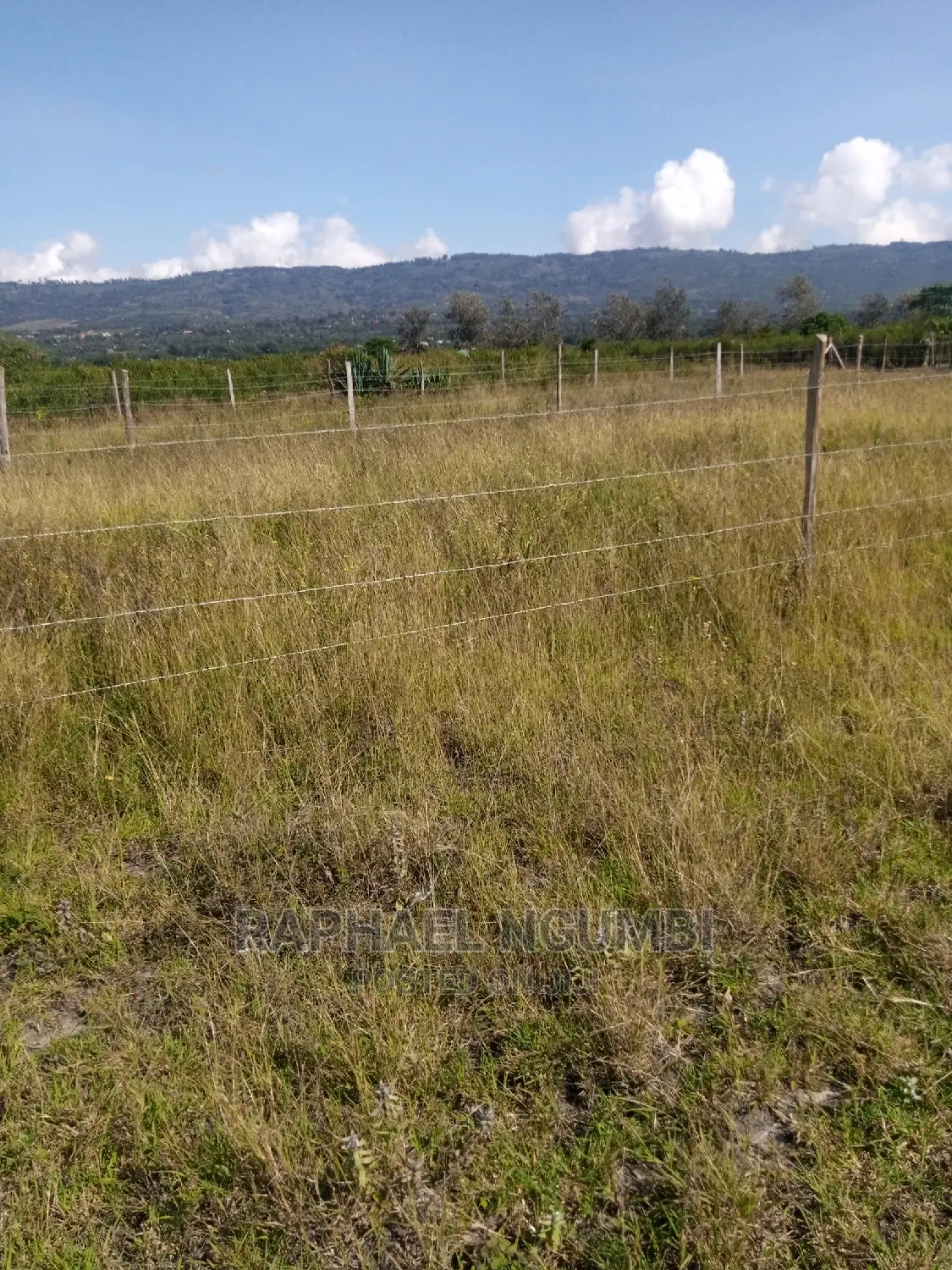 Kenya Israel Plot for Sale