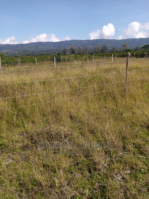 Kenya Israel Plot for Sale - thumbnail 2