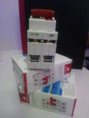 Havell Double Pole 100A