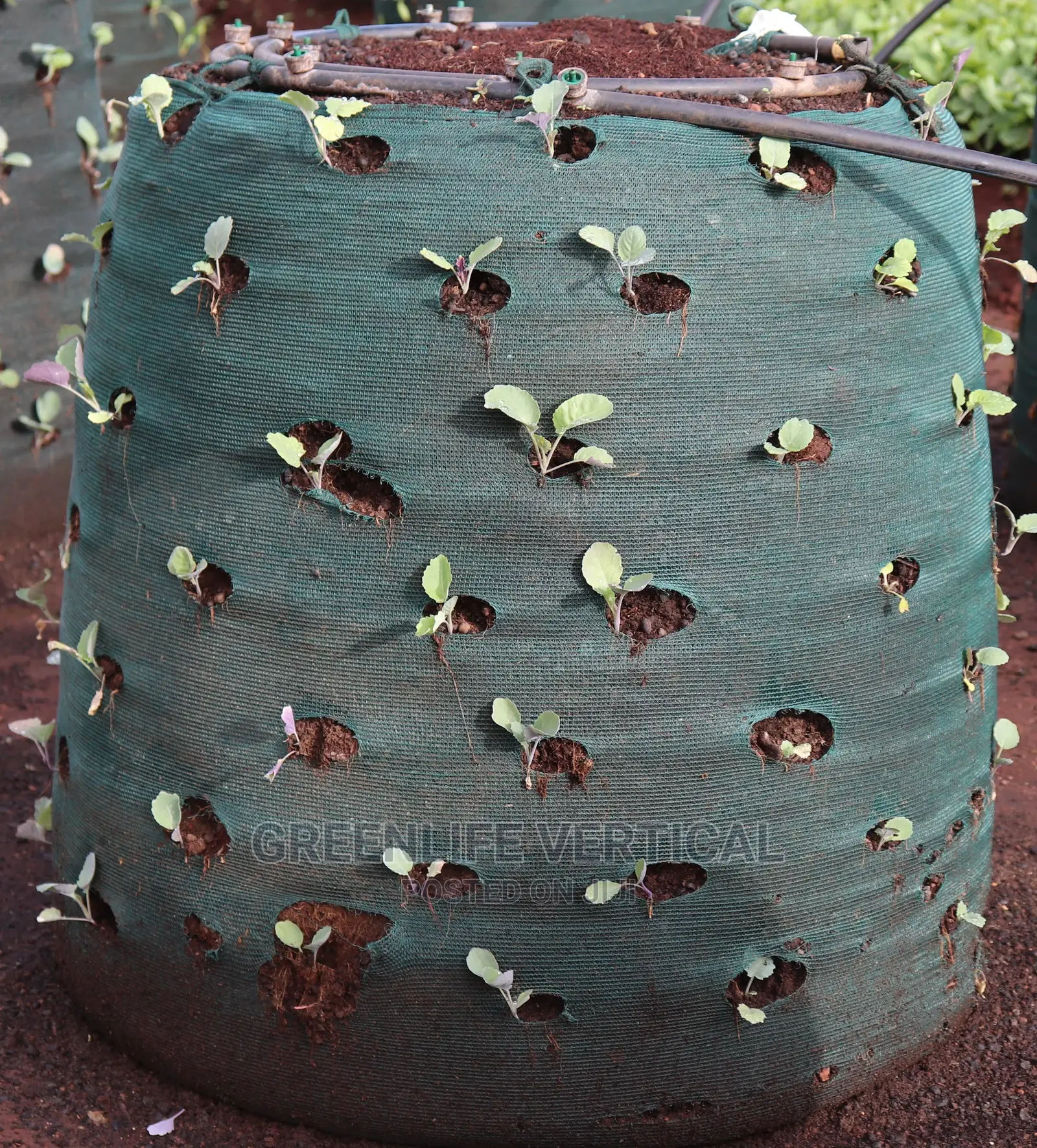 Greenlife Vertical Bags (Kitchen Garden Bags)