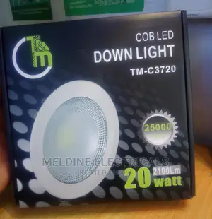 COB LED Downlighter 20watts