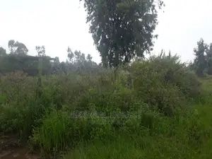 Beautiful 1/2 Acre Plot in Karen for Quick Sale