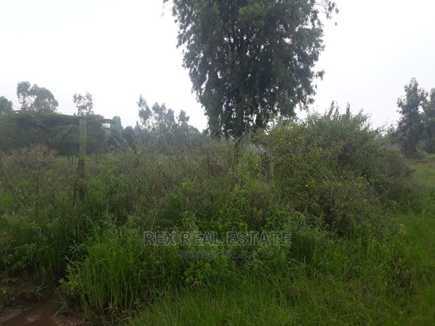Beautiful 1/2 Acre Plot in Karen for Quick Sale - thumbnail 4