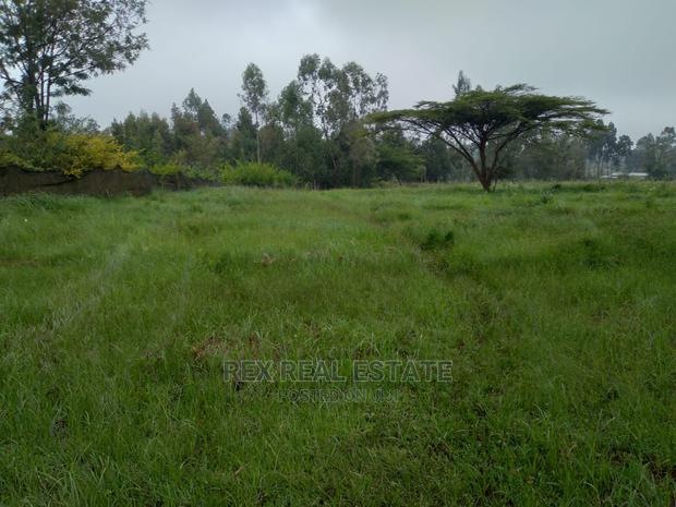 Beautiful 1/2 Acre Plot in Karen for Quick Sale - thumbnail 5