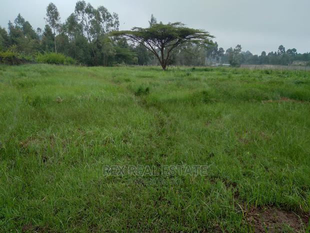 Beautiful 1/2 Acre Plot in Karen for Quick Sale - main view