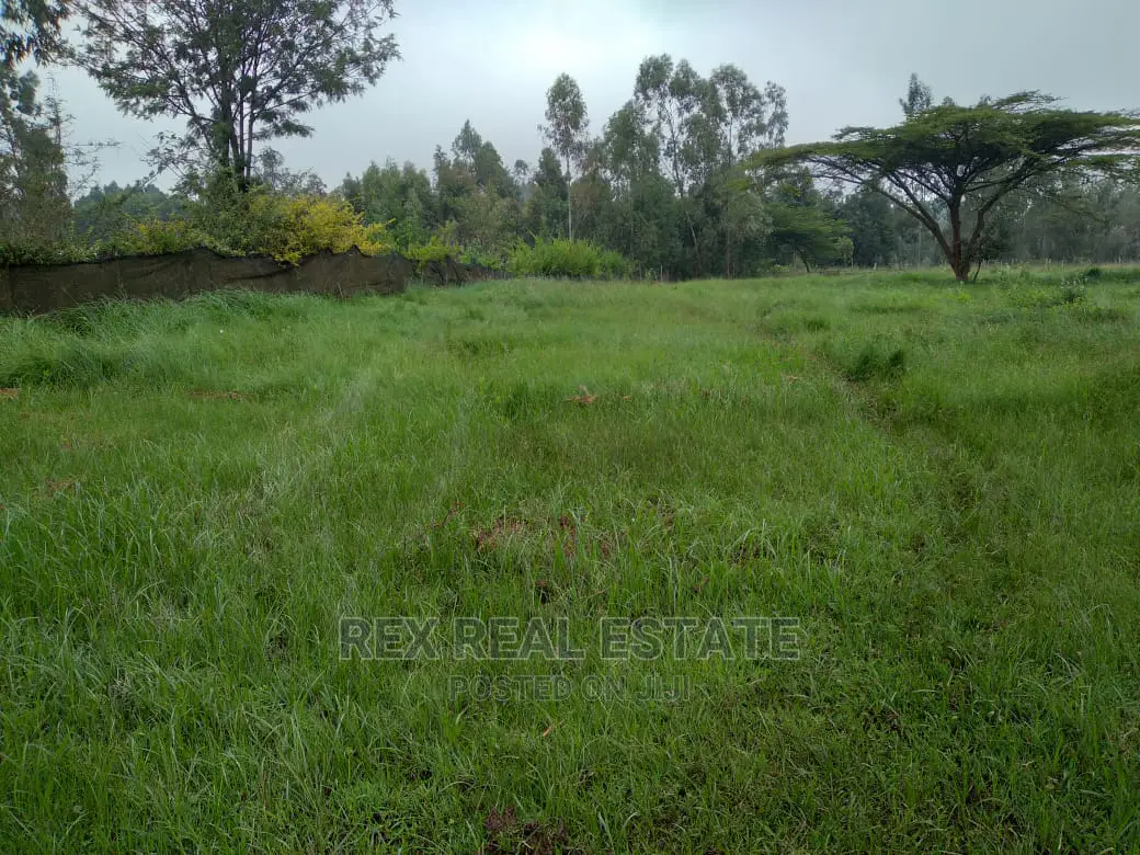 Beautiful 1/2 Acre Plot in Karen for Quick Sale