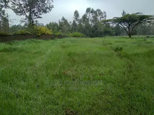 Beautiful 1/2 Acre Plot in Karen for Quick Sale