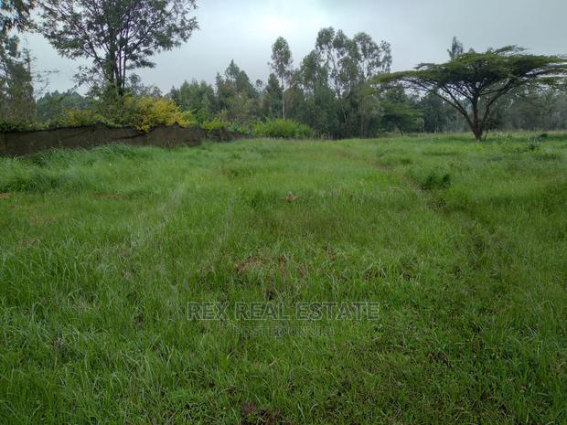 Beautiful 1/2 Acre Plot in Karen for Quick Sale - thumbnail 6