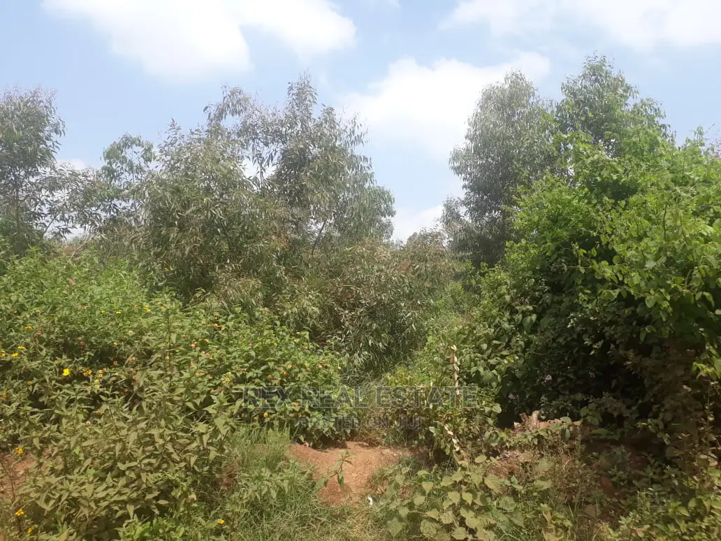 Prime 3.5 Acre Percel in the Dagoretti, Mutuini