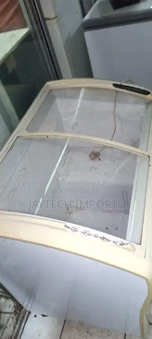Display Deep Freezer
