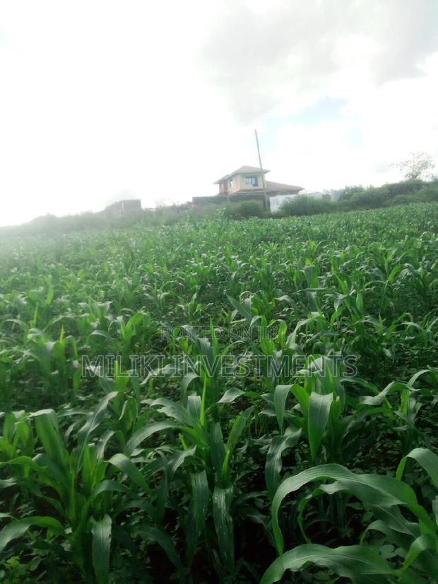 Quarter an Acre on Sale at Kenol-Kimorori - main view