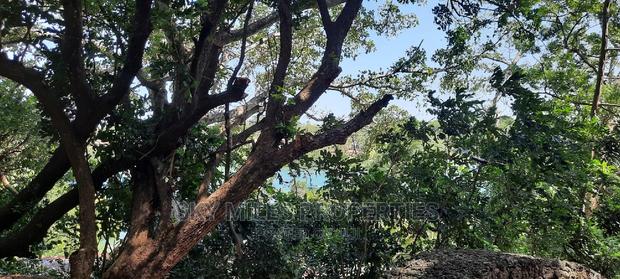 Fully Furnished Apartments Mtwapa - thumbnail 16