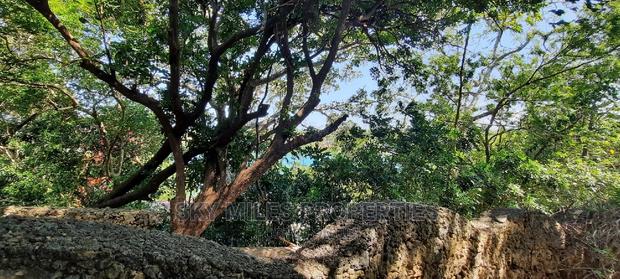 Fully Furnished Apartments Mtwapa - thumbnail 17