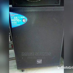 Bass Speaker 18" - thumbnail 2