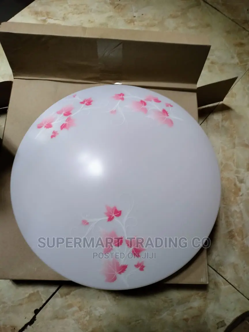 Led Ceilings Light 48 Watts