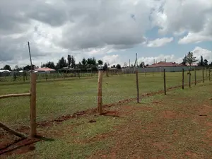 1/4 Plots and 1/8 Plots for Sale in Kipkorgot With Number S