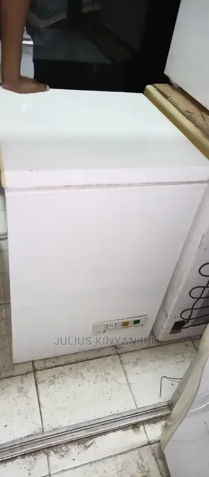 Mini Freezer Chest