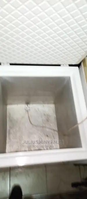 Mini Freezer Chest