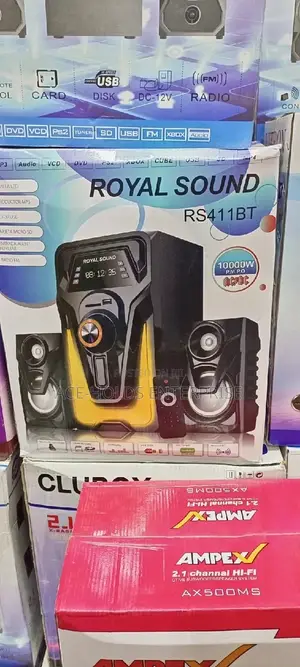 Royal Sound RS411BT Soundsystem Woofer.
