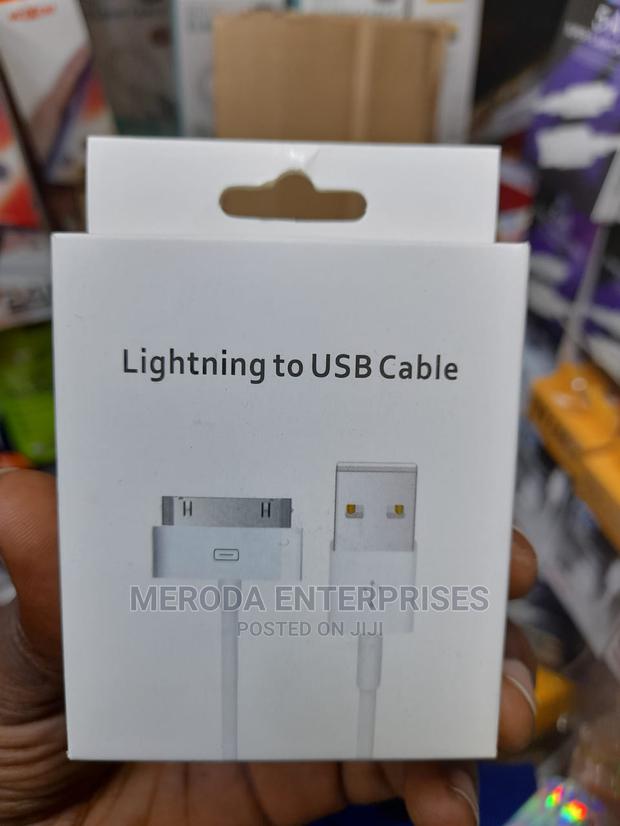 Original iPhone 4 Cable - main view