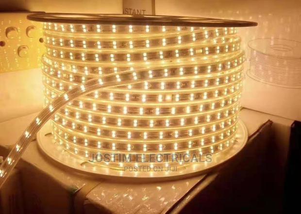 Warm White Snakelight - main view