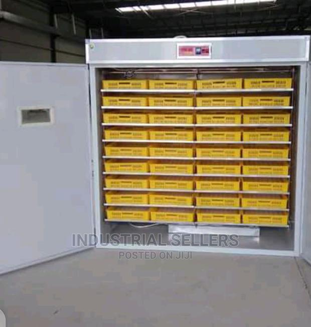 300eggs Automatic Incubator