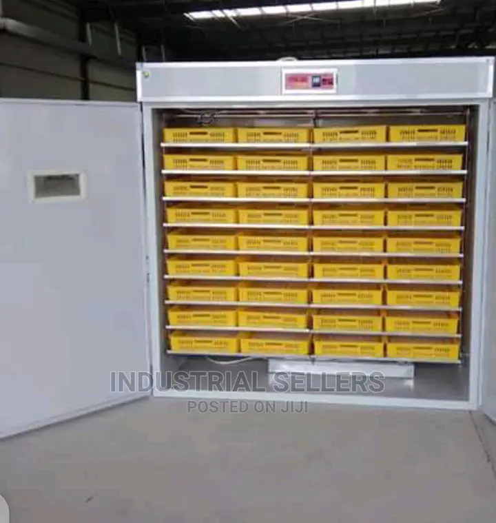 300eggs Automatic Incubator