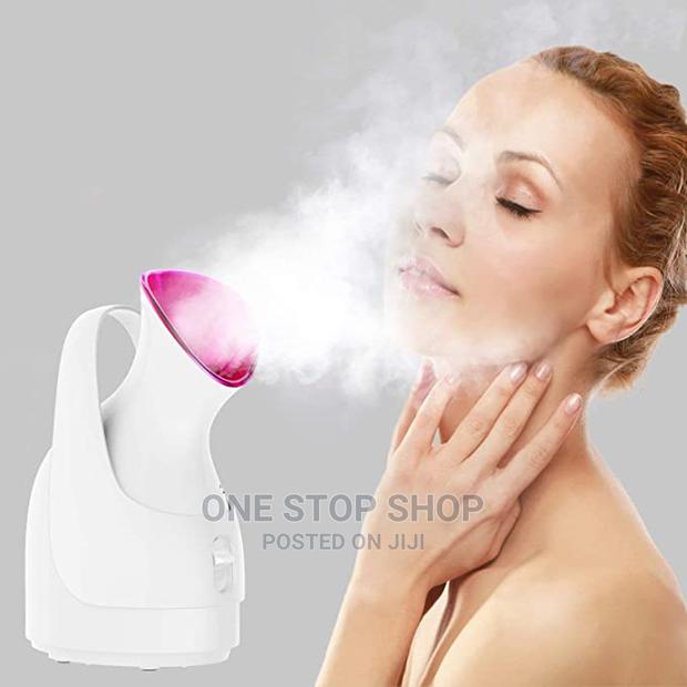 Hot Mist Ionic Facial Steamer Skin Humidifier