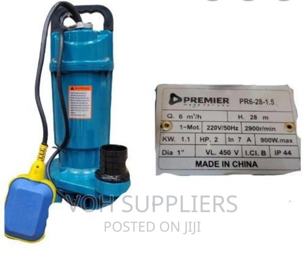 Premier Submersible 2 HP Pump - main view