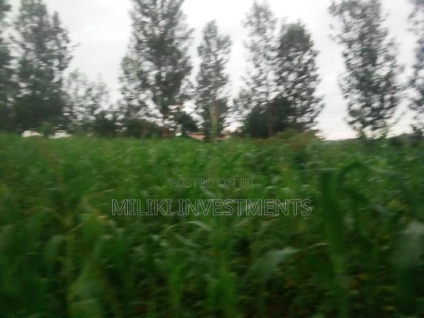 Half an Acre Land on Sale at Kabati. - main view