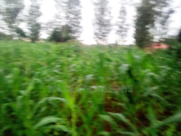 Half an Acre Land on Sale at Kabati. - thumbnail 4