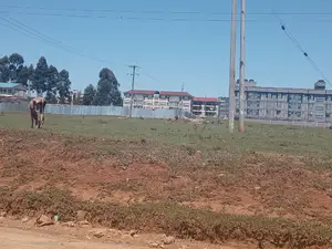 1/4 Plots Annnex Nairobi - Eldoret 100metres From Tarmac
