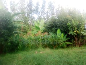 Quarter an Acre Land on Sale.