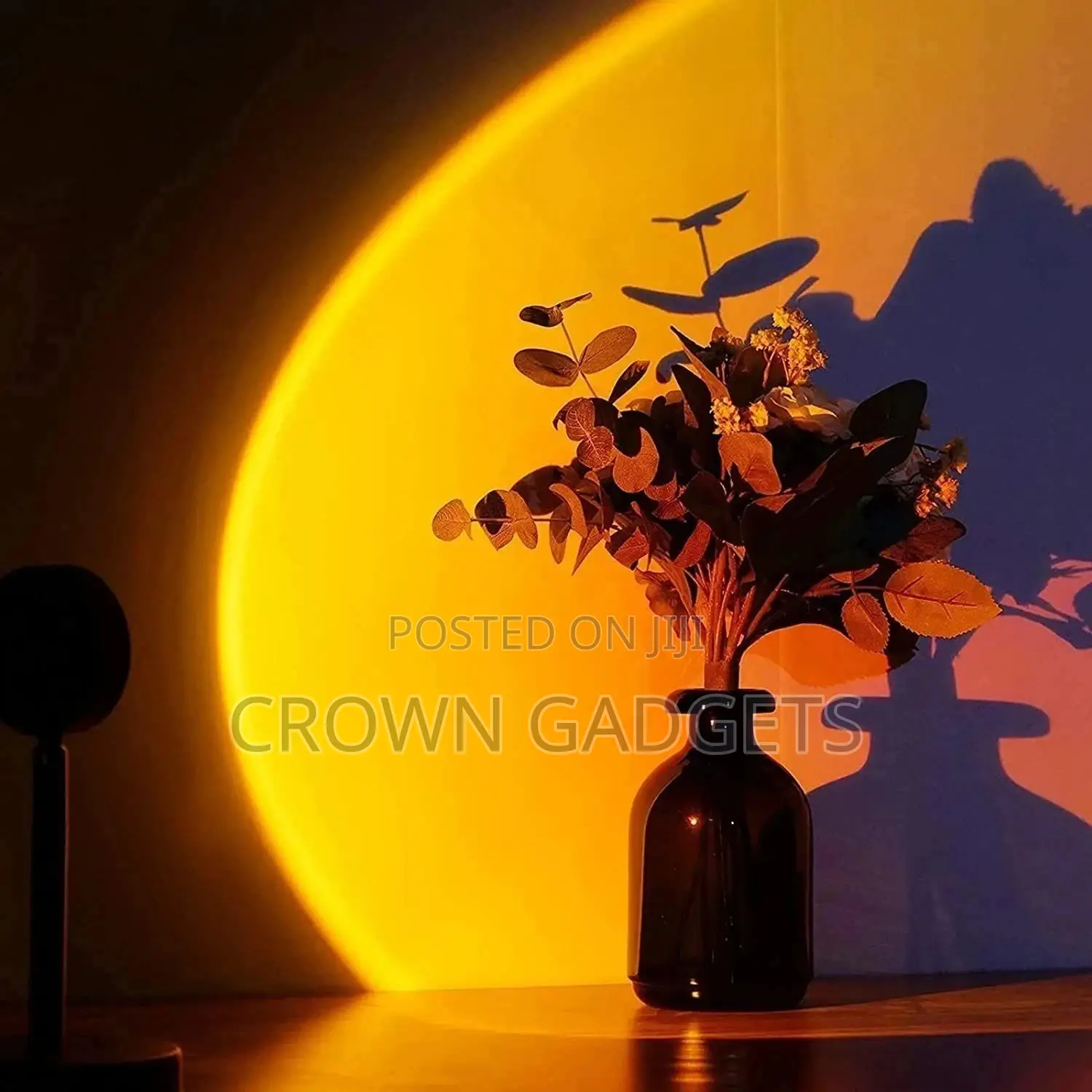 Stabled Projector Lamp, Sunset