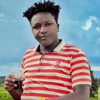 Alpha Golden Properties logo