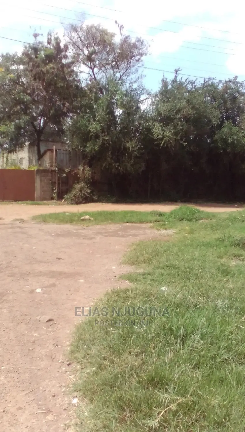 Rental Plot 100ftx50ft Kasarani (Roysambu) Rent 55,000=