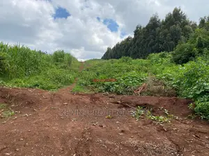 Plot for Sale in Kikuyu, Kamangu.