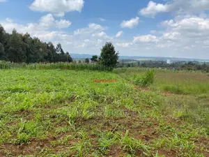 Plot for Sale in Kikuyu, Kamangu.