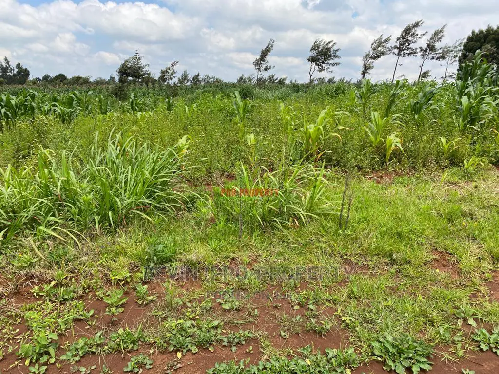Plot for Sale in Kikuyu, Kamangu.