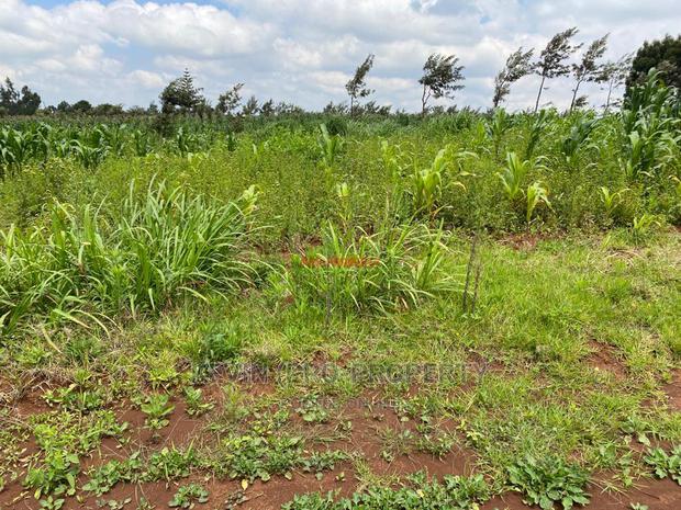 Plot for Sale in Kikuyu, Kamangu. - thumbnail 9