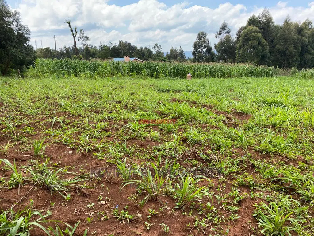 Plot for Sale in Kikuyu, Kamangu.