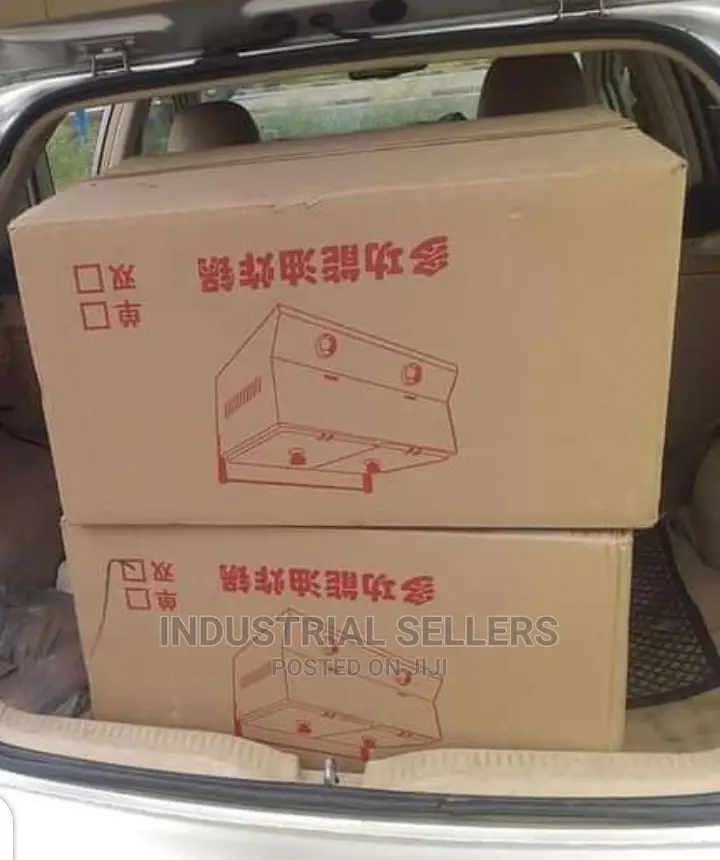 Hottest Double Deep Fryer