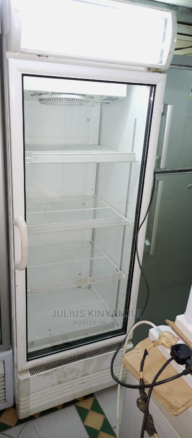 Display Bottle Cooler 450L - main view