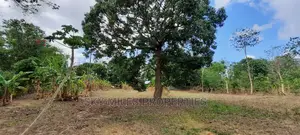 One Acre on Sale Mtwapa Animo