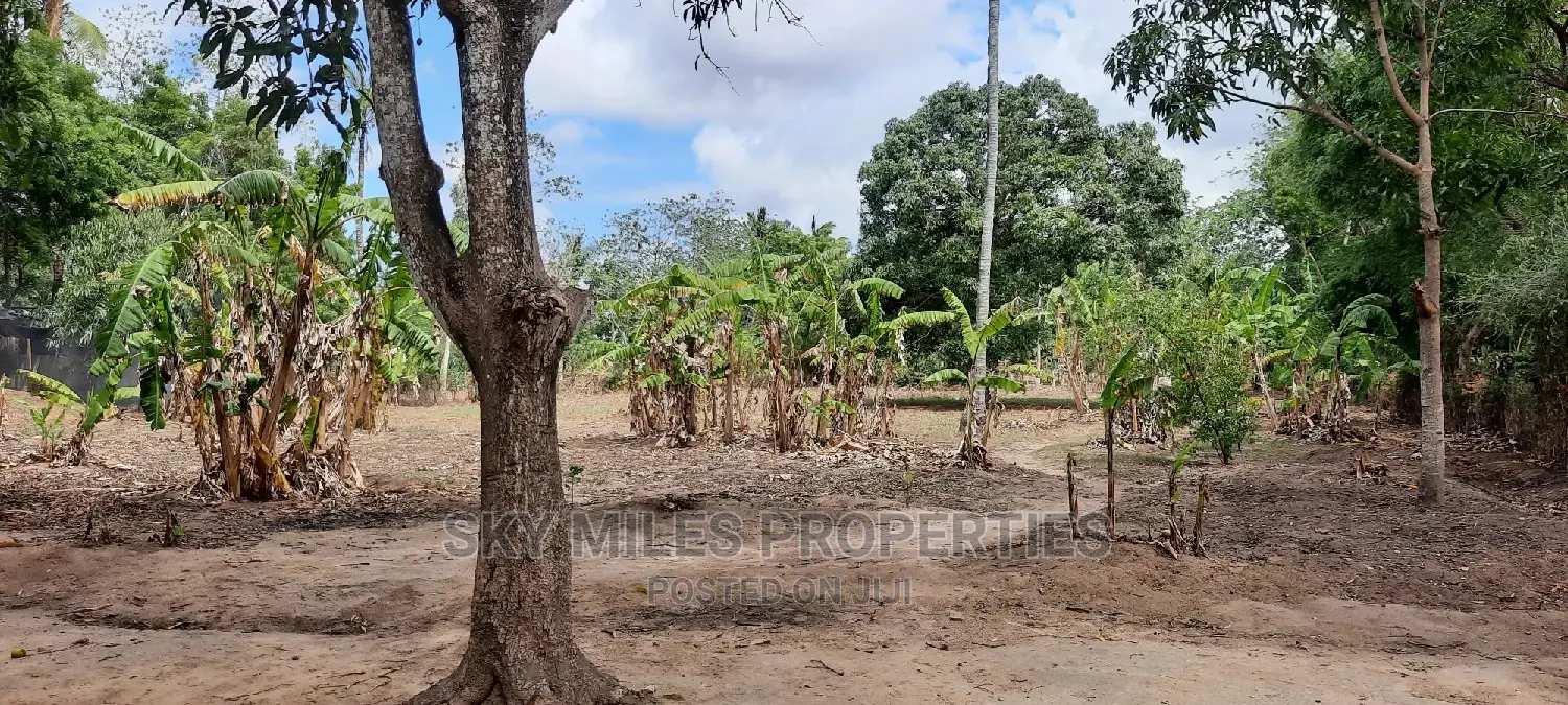 One Acre on Sale Mtwapa Animo