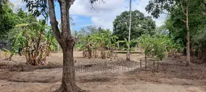 One Acre on Sale Mtwapa Animo