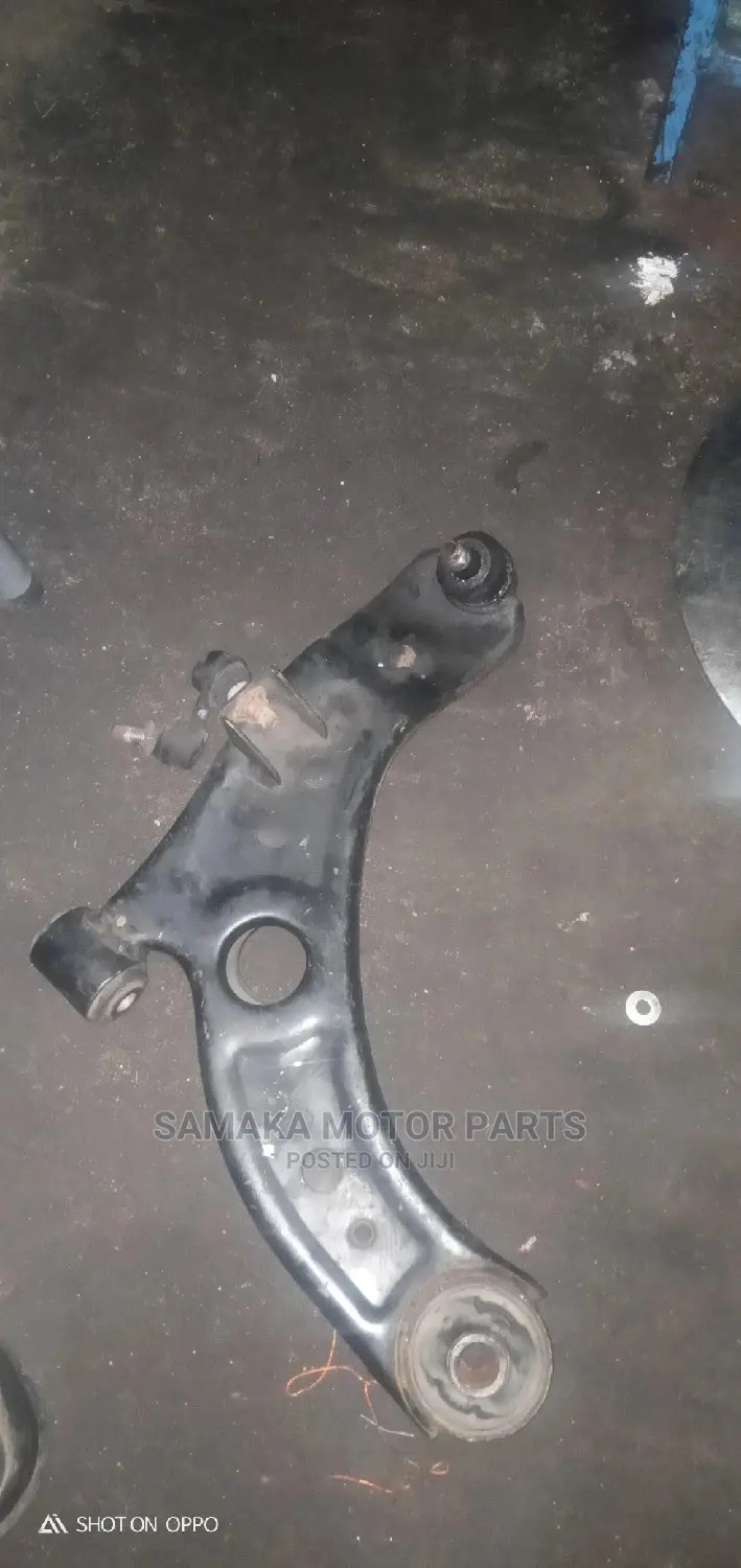 Passo Control Arm